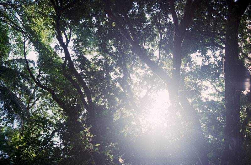 patrick schmidt photography