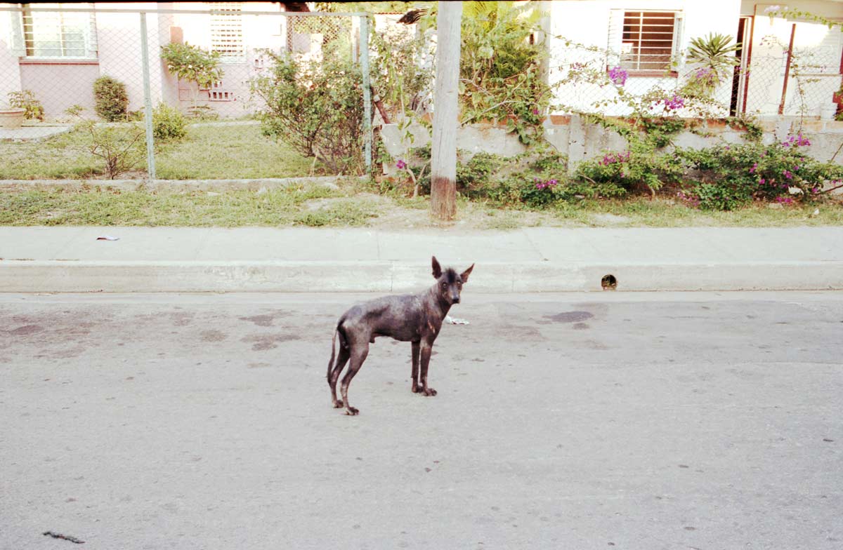 Patrick Schmidt photography