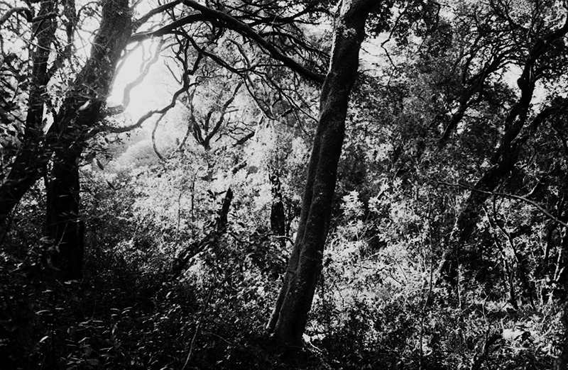 patrick herter photography