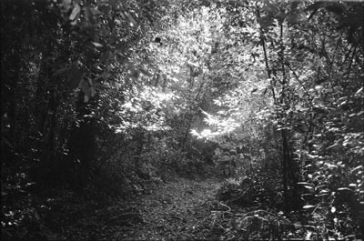 patrick schmidt photography